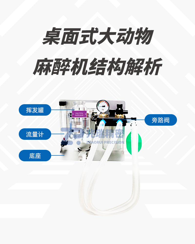 Z5289 Desktop Large Animal Anesthesia Machine.jpg
