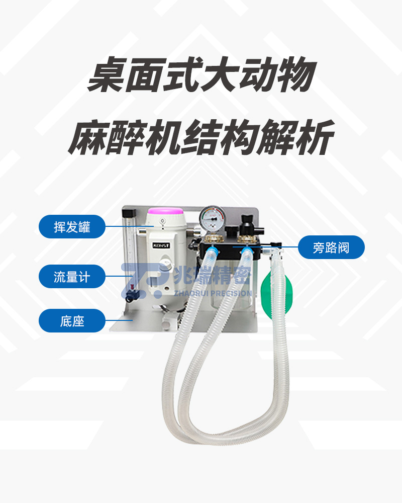 Z5287 Desktop Large Animal Anesthesia Machine.jpg