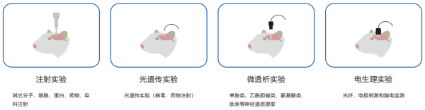 Typical Applications