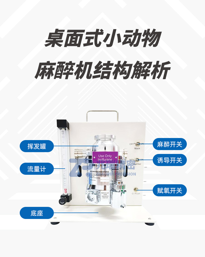 M5206 desktop single-channel small animal anesthesia machine.jpg