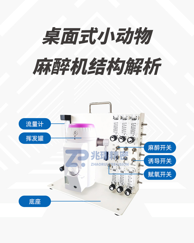 M5231 Multi-channel Desktop Small Animal Anesthesia Machine.jpg